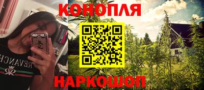 индика Тулун