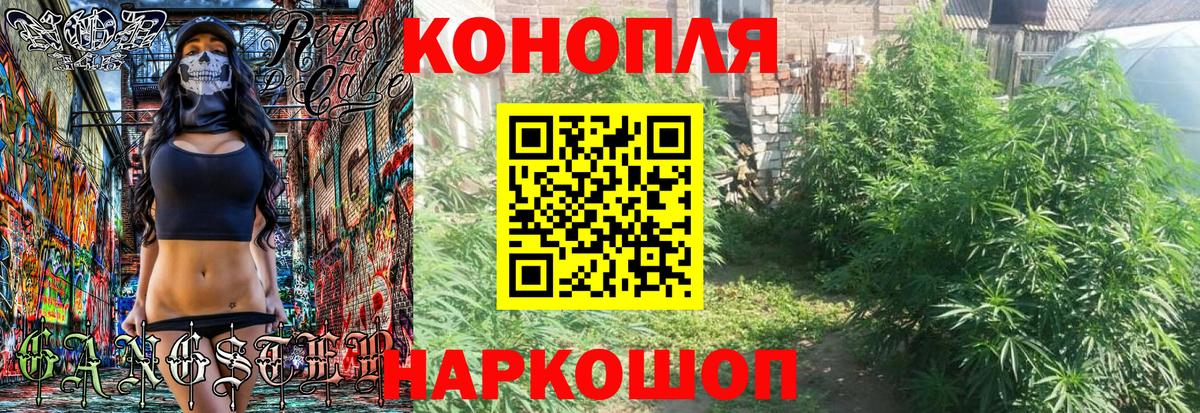 Каннабис Amnesia  Бошки Шишки планчик  Бошки марихуана семена  Саянск  Вход с VPN 
